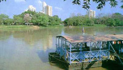 Information about Monteria