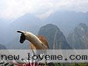 Machu-Picchu-009